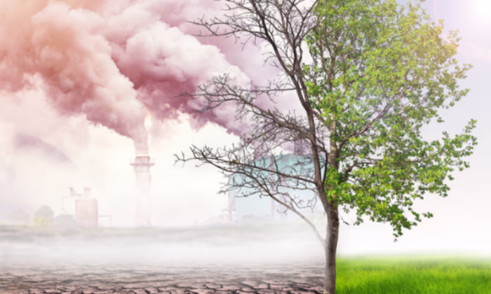 Странам ЕАЭС необходима система углеродного регулирования