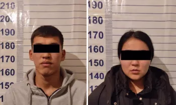 Мошенники обманули владельцев магазинов, используя мобильный банкинг