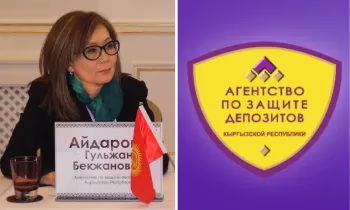 ОЭСР: Половина молодых людей в мире не могут отличить реальные инвестиции от финансовых пирамид