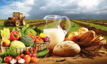 Производство сельхозпродукции в КР достигло 59,1 млрд сомов