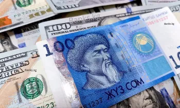 Улуттук банк 59,8 миллион АКШ долларына интервенция жүргүздү