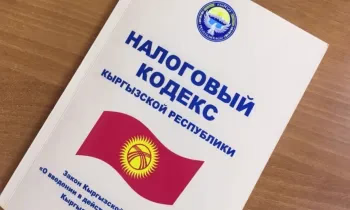 Внесены изменения в Налоговый кодекс КР: что ждет предпринимателей