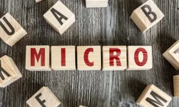 В Иссык-Кульской области вновь оштрафовано микрокредитное агентство