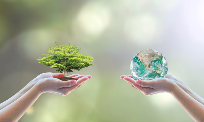 Программа DCB Green поддержит «зеленую» экономику КР