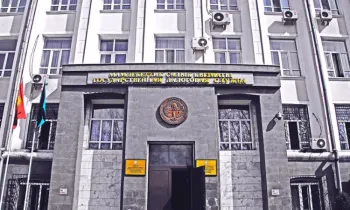 Салыктар каякка кетип жатат? Буга жаңы интерактивдүү кызмат жообун берет