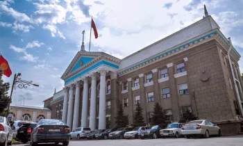 Мэрия Бишкека предлагает ввести денежное вознаграждение за сообщение о правонарушениях