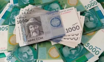 Таможенная служба нарастила поступления до 88 млрд сомов