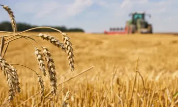 АЧК-13 долбоору боюнча 4 млрд сом жеңилдетилген насыялар каржыланды