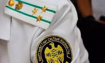 Жыл башынан бери 13 салыкчы иштен айдалды