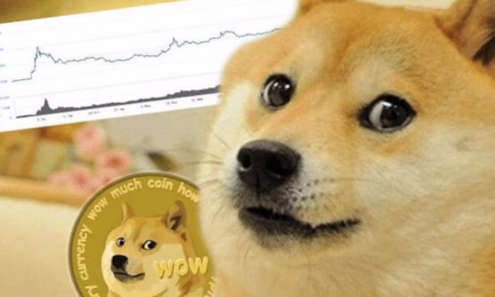«Мемный» токен Shiba Inu по капитализации обошел Bitcoin Cash
