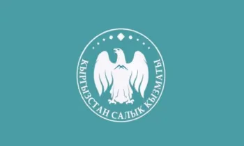 Утверждены флаг и символика Налоговой службы Кыргызстана