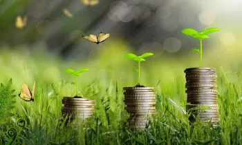 Зеленый вклад в будущее: «Дос-Кредобанк» и Чуйский лесхоз провели масштабную посадку деревьев