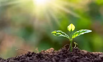 «Банк Компаньон» проведет серию агротренингов для семей мигрантов - график на 2026 год