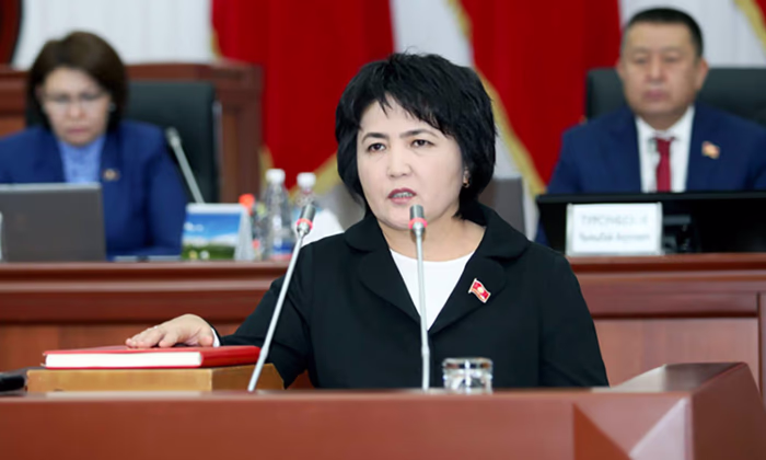 Экс-депутат ЖК вошла в Совет директоров Банка развития