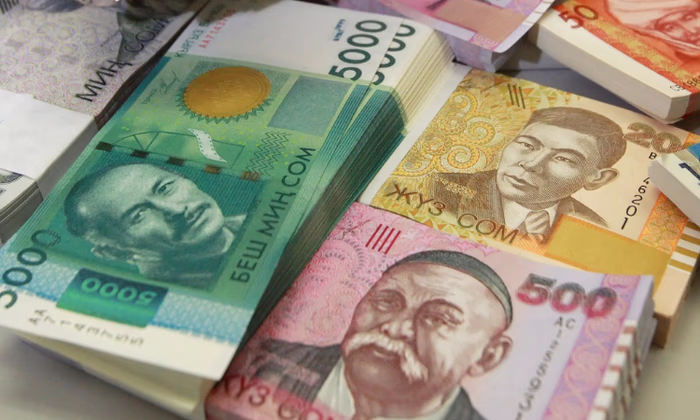 Видеоролики о людях, изображенных на кыргызских сомах