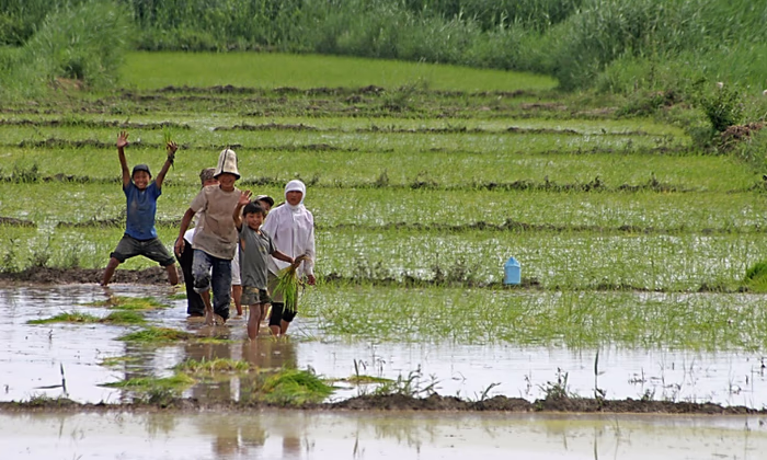 РКФР профинансировал 110 проектов в Баткенской области