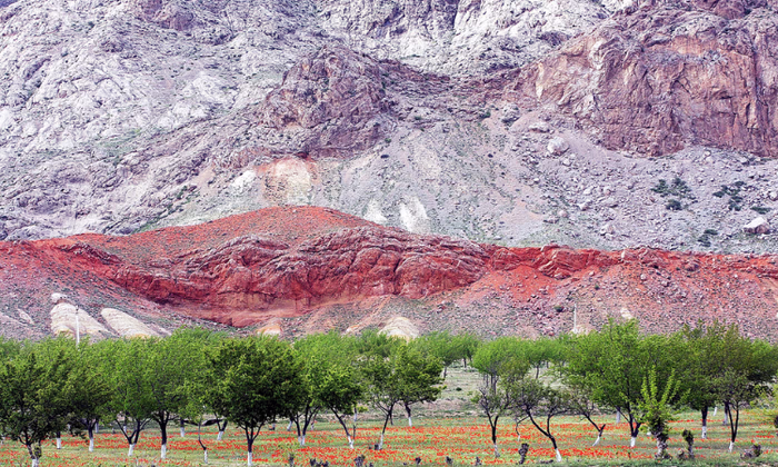 «Айыл Банк» и «РСК Банк» реструктуризируют займы для пострадавших в Баткене
