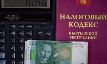 Что изменится для семей, если налоговые вычеты увеличат в 10 раз