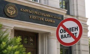 Под санкции Нацбанка КР попали три обменки