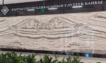 Новые правила для платежных терминалов: что изменится для пользователей при внесении наличных?