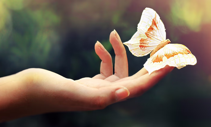 «Эффект бабочки», или Как вести бизнес в турбулентное время