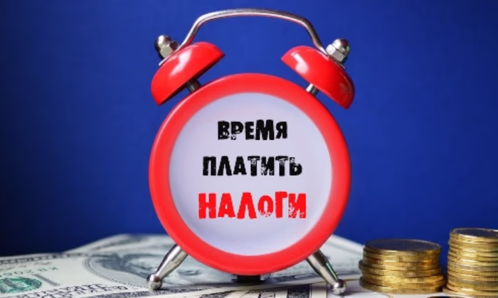 За полгода ГНС собрала 47 миллиардов сомов налогов