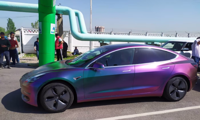 Банкиры обсудили внедрение электромобилей в стране