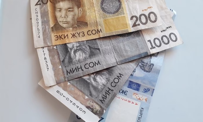 Доля расчетов в сомах при торговле с Казахстаном увеличилась