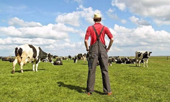 Фермеры получили в 2020 году бюджетных кредитов на 6 млрд сомов