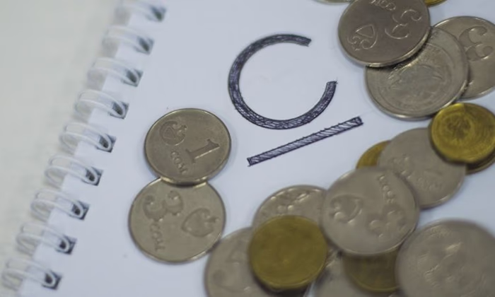 Какие возможности откроет цифровой сом?