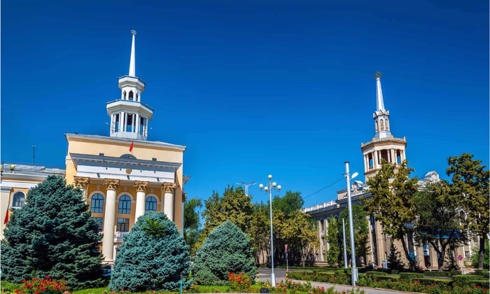 Государственные векселя от НБ КР на 100 млн сомов