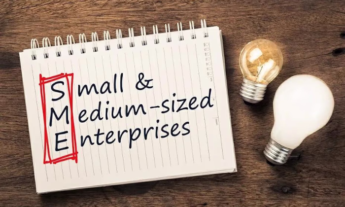 В Соцфонде КР предложили снизить тарифы страховых взносов для МСБ