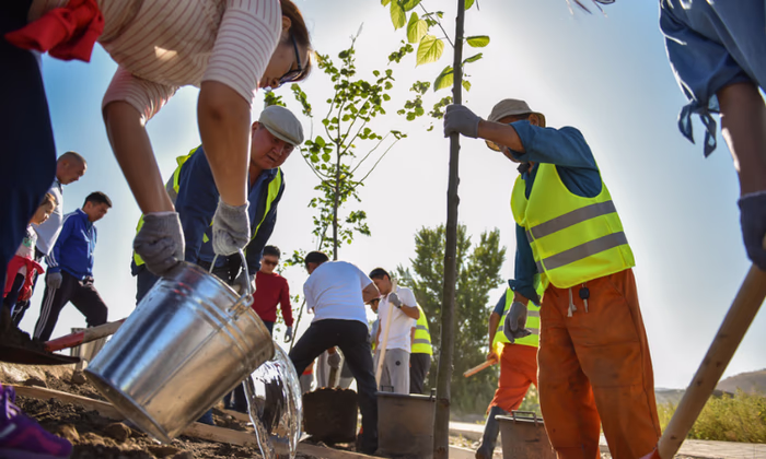 Общественный фонд «Эко Деми» приглашает на «зеленую» акцию