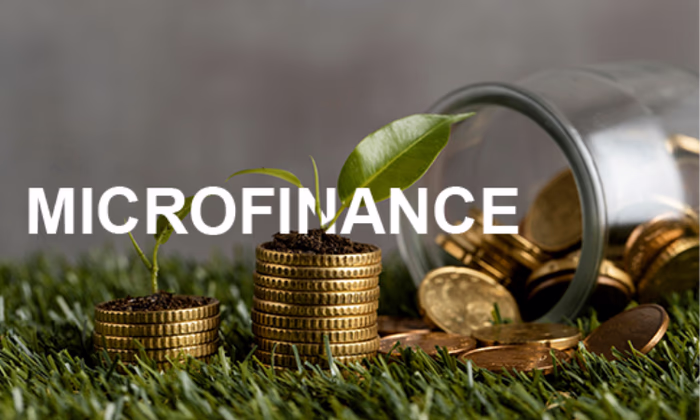 Каковы особенности лицензирования МФО?