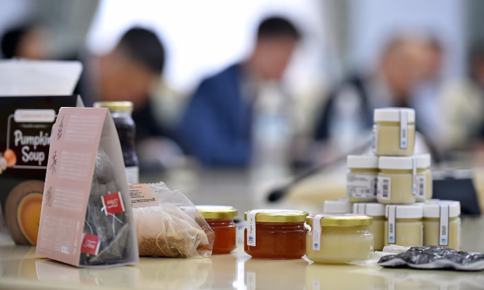 Акылбек Жапаров: «Проект JICA должен стать нацпроектом с господдержкой»