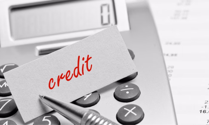 Принято положение о работе с кредитами, предоставляемыми из бюджета КР