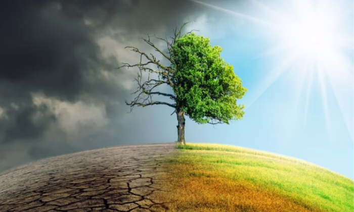 МВФ: Для борьбы с изменениями климата потребуются огромные инвестиции