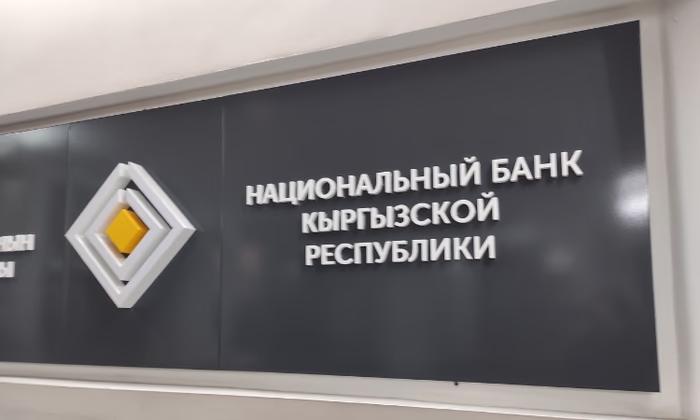 Утверждена инструкция о проведении проверок операторов платежных систем