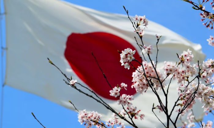 Открыт набор на краткосрочный финансовый курс японского агентства JICA