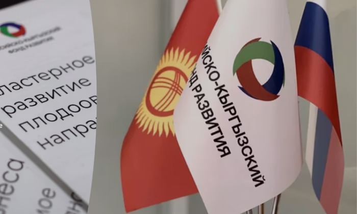 РКФР поддерживает бизнес по программе кредитования МСБ через комбанки