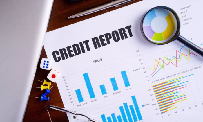 Всемирный банк организовал семинар по кредитной отчетности