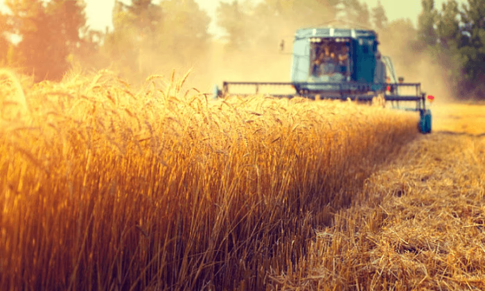 Утвержден проект «Финансирование сельского хозяйства - 11»