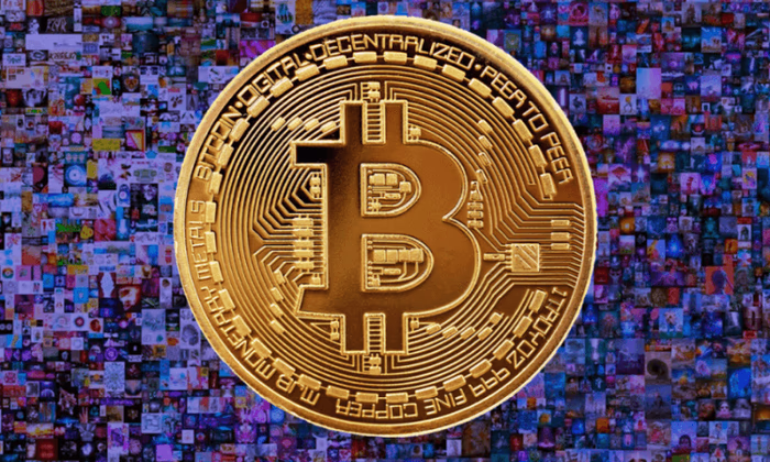 Для поставщиков услуг виртуальных активов утверждены формы отчетности