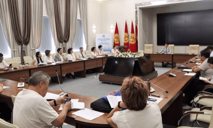 Началась работа по разработке законопроекта о внесении изменений в НК КР