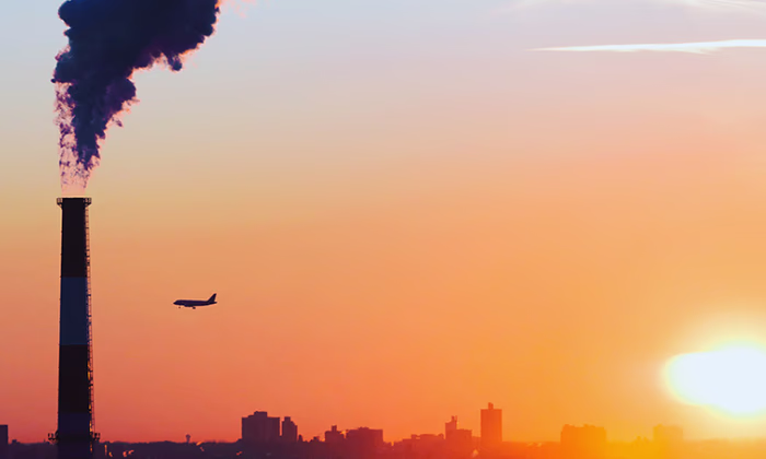 За преступления против экологии в Китае будут сажать в тюрьму на 7 лет