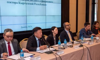 Глава ГФ: «Давайте рассмотрим возможность развития системы портфельных гарантий»