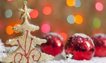 Не делитесь в социальных сетях планами на новогодние праздники!