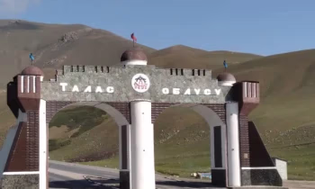 Должностные лица, проводившие незаконные проверки бизнеса, наказаны