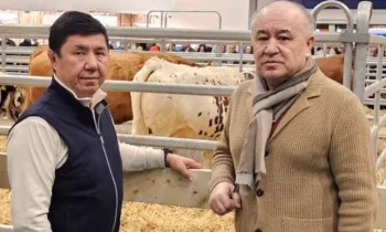 Глава ТПП КР стал участником международной зеленой недели в Берлине