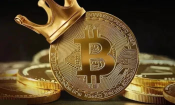 Кто поддержал раннее развитие биткоина?